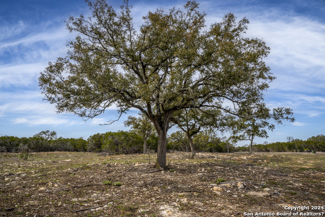 Image 3 of 23 For 40 Sotol Ln  