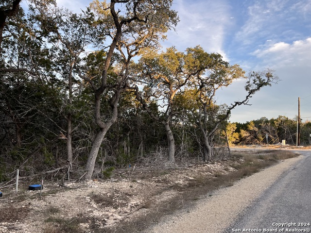 Image 6 of 16 For Lot 149 Restless Wind