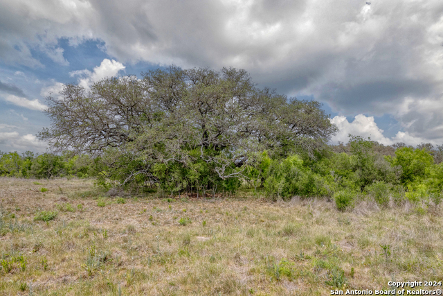 Image 18 of 28 For 8715 Fm 1796