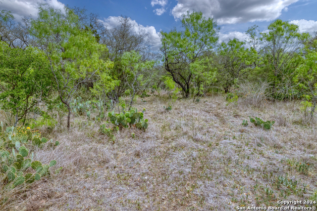 Image 23 of 28 For 8715 Fm 1796