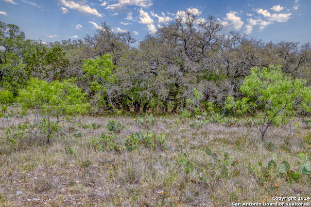 Image 24 of 28 For 8715 Fm 1796