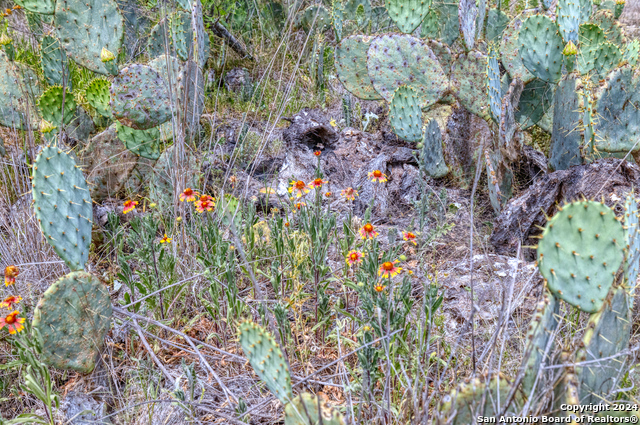 Image 27 of 28 For 8715 Fm 1796