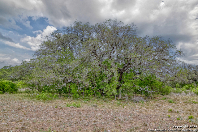 Image 28 of 28 For 8715 Fm 1796