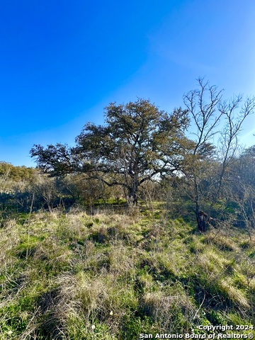 Image 3 of 28 For 8715 Fm 1796