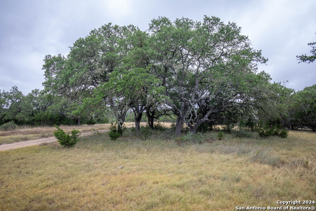 Image 13 of 40 For 295a Fossler Ranch Rd W