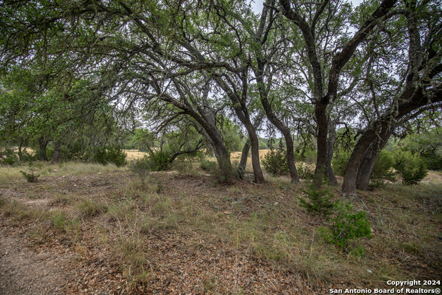 Image 14 of 40 For 295a Fossler Ranch Rd W