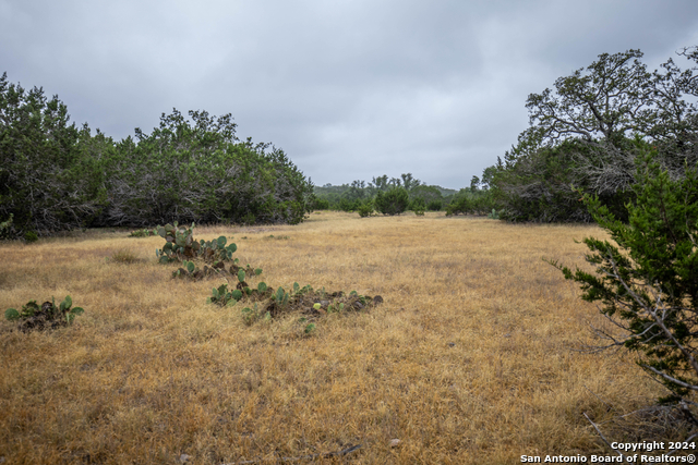 Image 17 of 40 For 295a Fossler Ranch Rd W