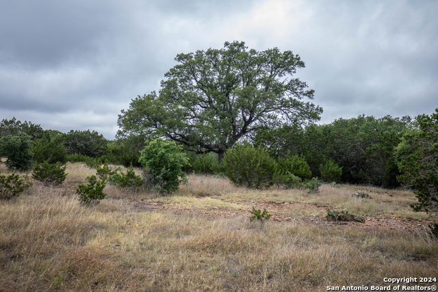 Image 22 of 40 For 295a Fossler Ranch Rd W