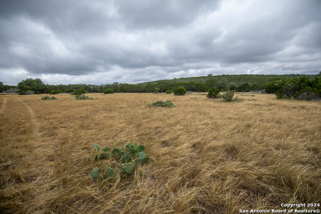 Image 35 of 40 For 295a Fossler Ranch Rd W