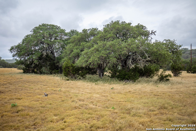 Image 36 of 40 For 295a Fossler Ranch Rd W