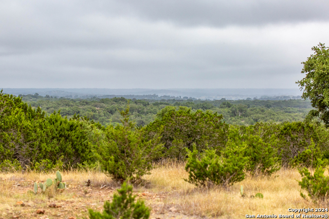 Image 38 of 40 For 295a Fossler Ranch Rd W