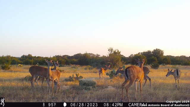 Image 39 of 40 For 295a Fossler Ranch Rd W