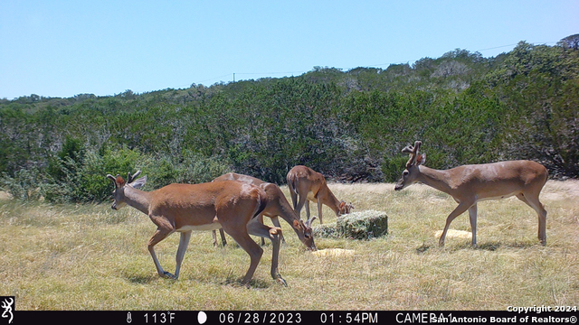 Image 40 of 40 For 295a Fossler Ranch Rd W