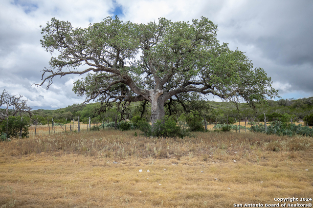 Image 32 of 38 For 295b Fossler Ranch Rd W