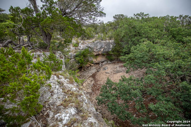 Image 8 of 38 For 295b Fossler Ranch Rd W