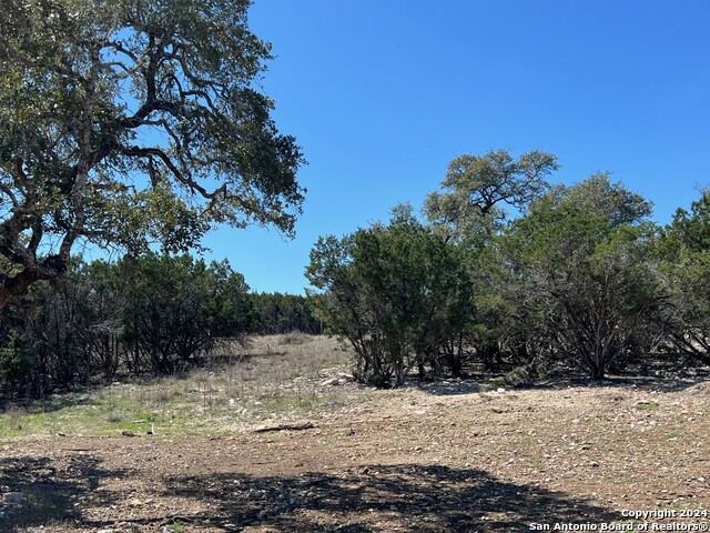 Image 4 of 6 For Lot 2 Vaquero Pass