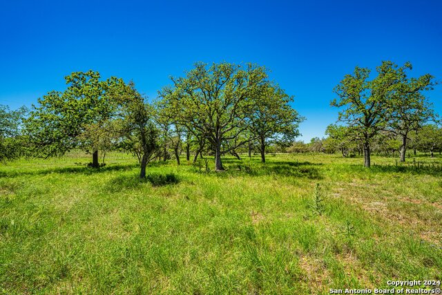 Details for 2205 Fm 479  , Harper, TX 78631