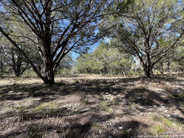 Image 9 of 15 For 27311 Ranch Creek