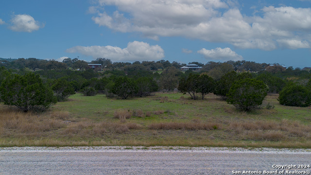 Image 10 of 14 For 43 Saddle Tree