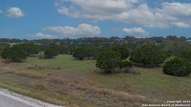 Image 11 of 14 For 43 Saddle Tree