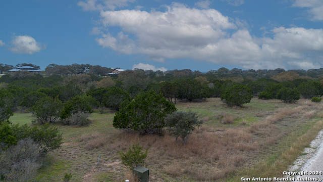 Image 12 of 14 For 43 Saddle Tree