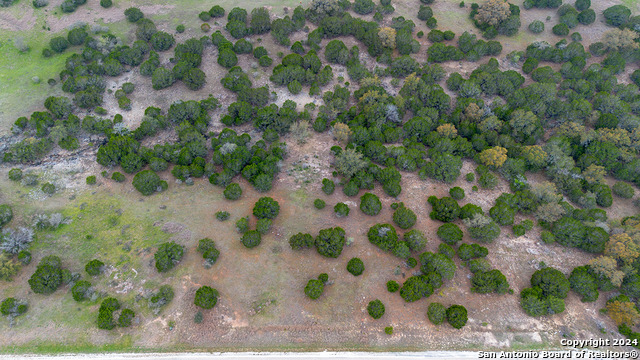 Image 3 of 14 For 43 Saddle Tree