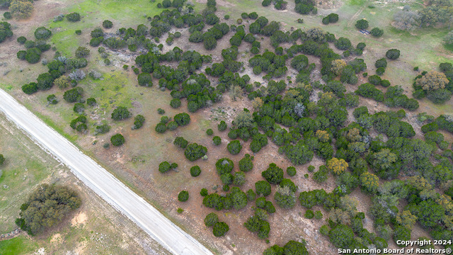 Image 4 of 14 For 43 Saddle Tree