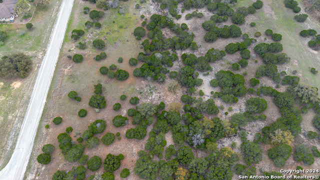 Image 5 of 14 For 43 Saddle Tree