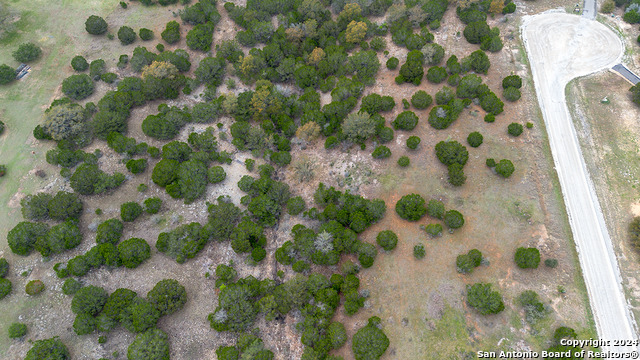 Image 8 of 14 For 43 Saddle Tree