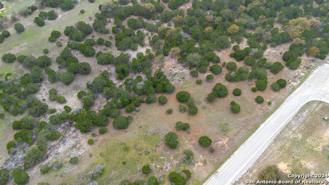 Image 9 of 14 For 43 Saddle Tree