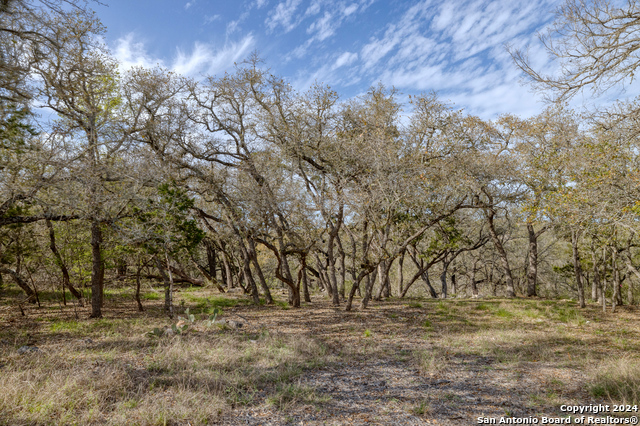 Image 20 of 43 For Lot 381 Palomino Springs