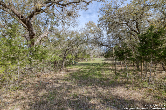 Image 21 of 43 For Lot 381 Palomino Springs