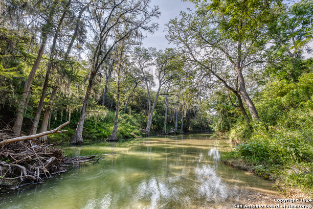 Image 32 of 43 For Lot 381 Palomino Springs