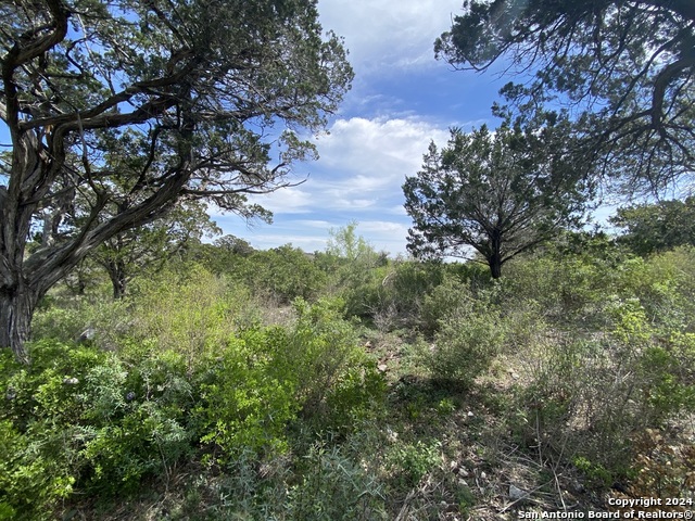 Image 11 of 81 For Lot 32 Pr 2775