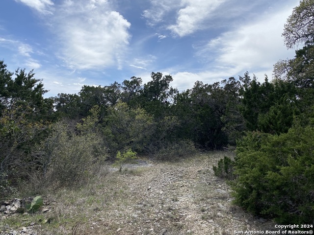 Image 15 of 81 For Lot 32 Pr 2775