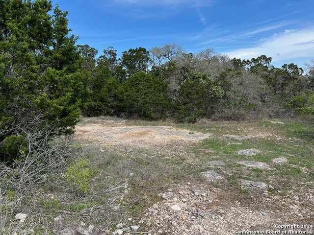 Image 45 of 81 For Lot 32 Pr 2775