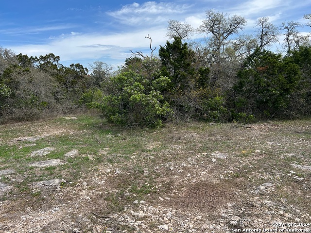 Image 46 of 81 For Lot 32 Pr 2775