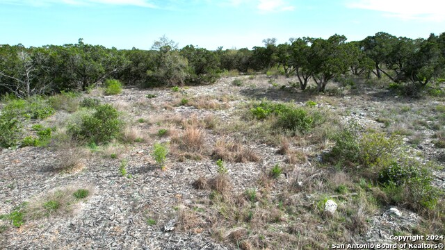 Image 76 of 81 For Lot 32 Pr 2775