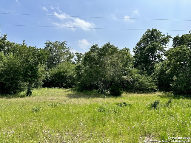 Image 9 of 33 For 0 Sandy Pine Road