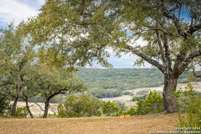 Image 37 of 40 For 9722 Boerne Haze