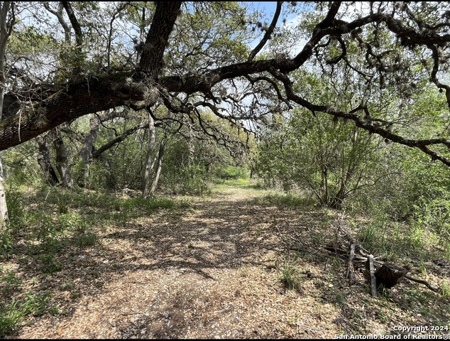 Image 15 of 18 For 13931 Old Scenic Loop