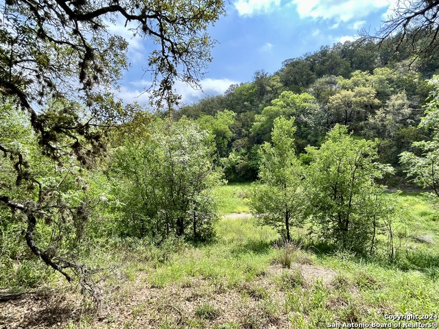 Image 8 of 18 For 13931 Old Scenic Loop