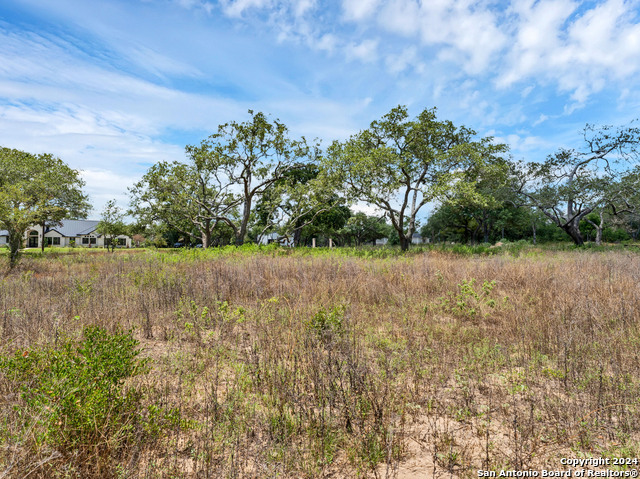 Image 8 of 14 For 205 Trophy Lane