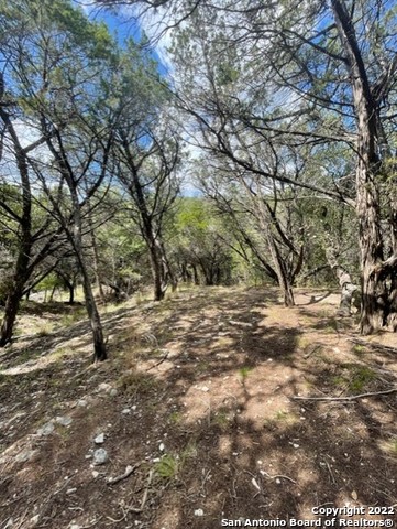 Image 11 of 13 For 0 W Slope Trail