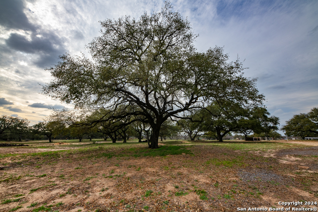 Image 35 of 50 For 949 County Road 665