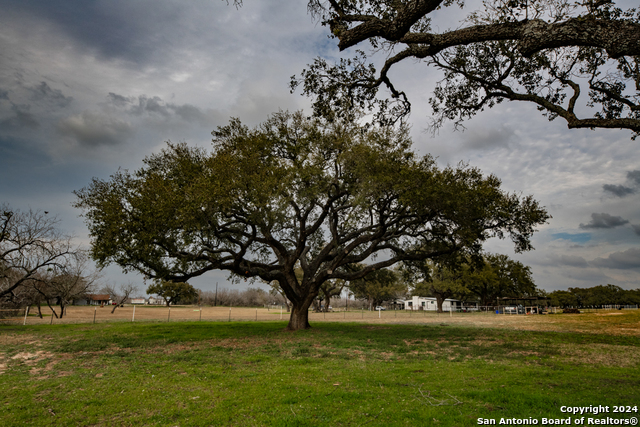 Image 40 of 50 For 949 County Road 665