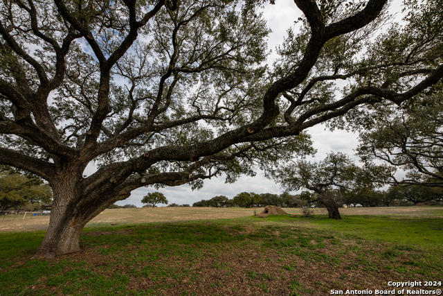 Image 42 of 50 For 949 County Road 665