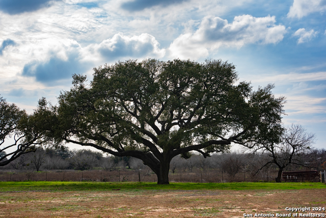 Image 44 of 50 For 949 County Road 665