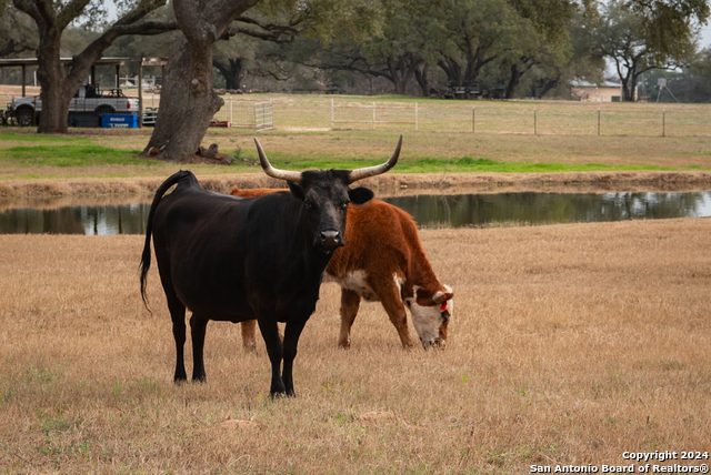 Image 45 of 50 For 949 County Road 665