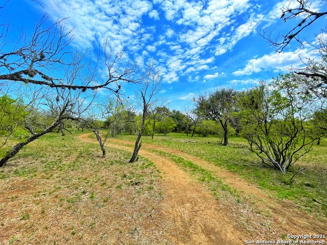 Image 18 of 24 For 913 County Road 362